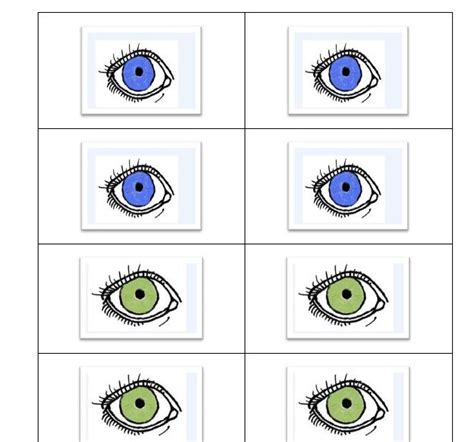 Preschool Science Exploring Eye Colors In Families • The Preschool