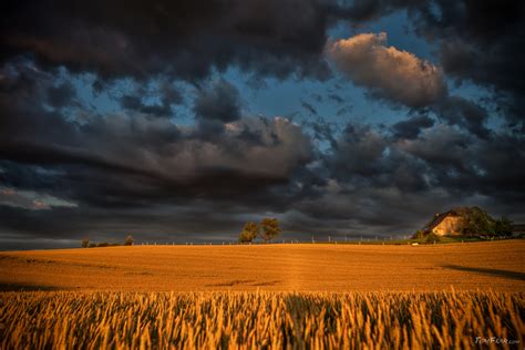 Dark Clouds Over The Wheat Tomfear Tomfear