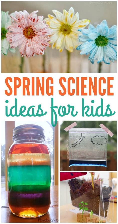 Discover Fun And Educational Spring Science Activities For Kids