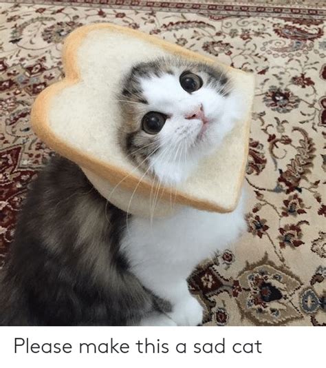 Please Make This A Sad Cat Sad Meme On Meme