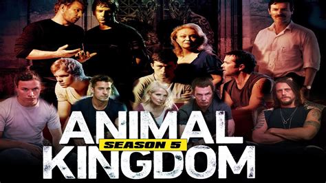 Animal kingdom season 5 has got the official nod and has been renewed by netflix. Animal Kingdom Season 5, Confirmed by Netflix, Release ...