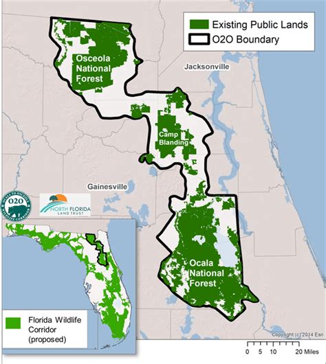 Ocala To Osceola Wildlife Corridor North Florida Land Trust