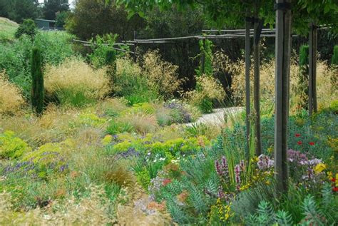 Ratings, based on 57 reviews. "steppe" garden of Michael McCoy, Australia. | Plants ...