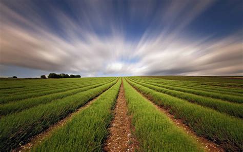 Available in hd, 4k resolutions for desktop & mobile phones. 3D Nature Wallpapers - Asian Pretty HD Wallpapers