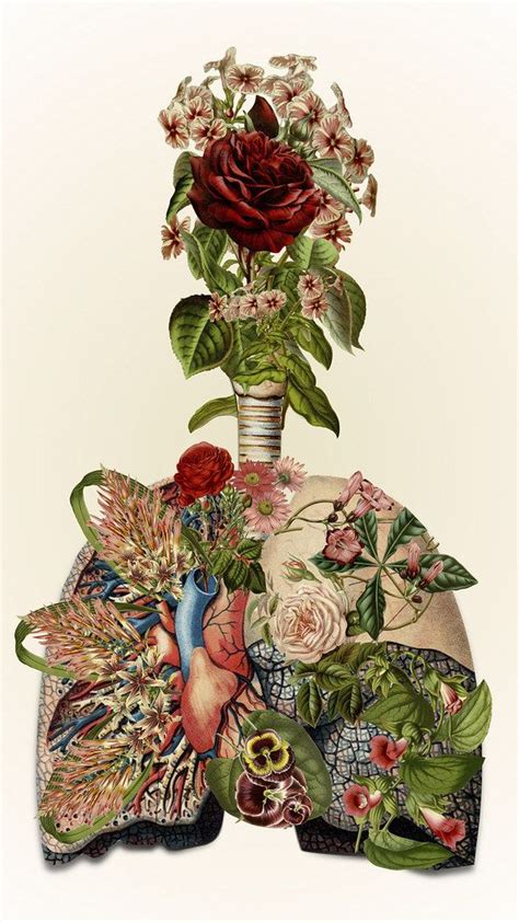 Bedelgeuses Collages Blend Human Anatomy With Nature Nature Collage