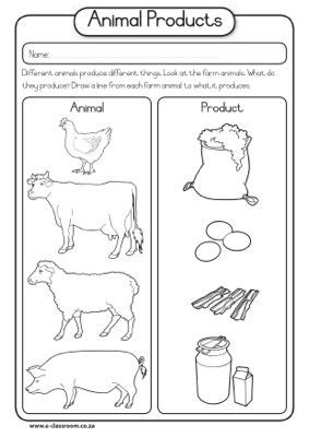animal products worksheets animal worksheets kids