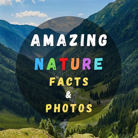 Amazing Nature Factsandphotos
