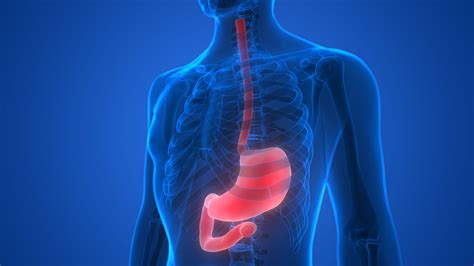 Gastric Cancer Foundation Prognostic Differences In 8th Edition Tnm