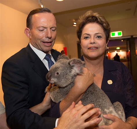 Koala Diplomacy Warms Up G20 Summit Daily Sabah