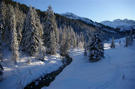 Mountain Alps Stream Snowy Free Photo On Pixabay Pixabay