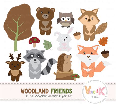 Woodland Animals Clipart Uk 10 Free Cliparts Download Images On