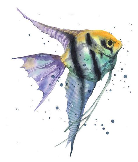 Alluring Angelfish By Alison Fennell In 2022 Watercolor Fish Fish