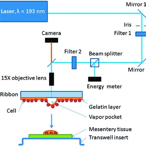 Schematic Of Laser Direct Write Ldw Set Up Adapted For The Transfer