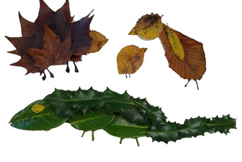 Make Leaf Art Activities Scouts