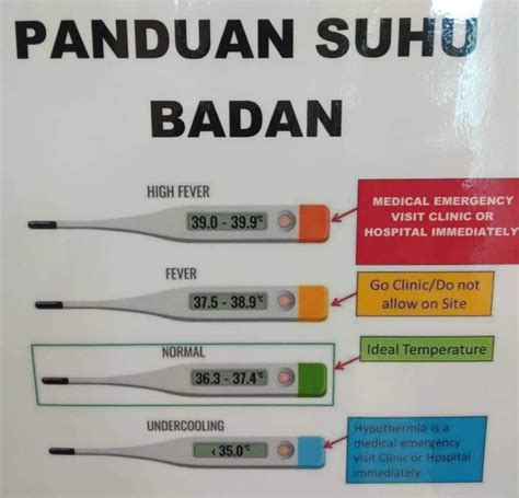 Apakah suhu badan yang dikatakan normal untuk bayi dan adakah ia berbeza daripada orang dewasa? Suhu Normal Badan Manusia