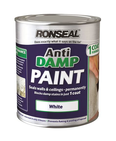 Ronseal Anti Damp Stain Paint White Seals Walls And Sealing In One Coat