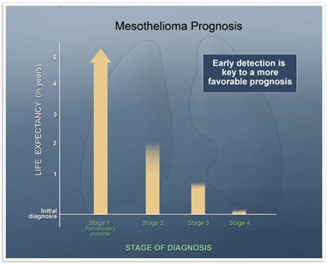 Four primary mesothelioma types by location. Mesothelioma Prognosis : Types, Stages, Symptoms, Factors ...