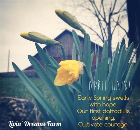 Birthday, love and romance, sympathy, get well, congratulations Livin' Dreams Farm and Workshop | Local Food and Custom ...