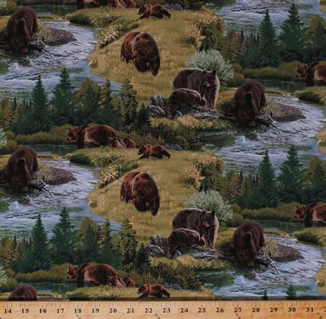 Cotton Brown Bears Grizzly Bears Grizzlies Animals Northwoods Landscape