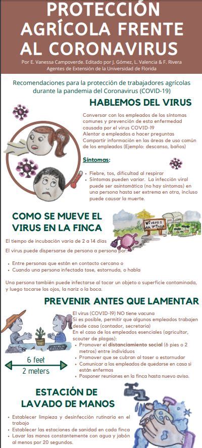 Coronavirus Safety Fact Sheets For Workers Ufifas Extension Miami