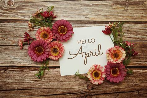 Hello April Typography Text With Flowers On Wooden Background Stock