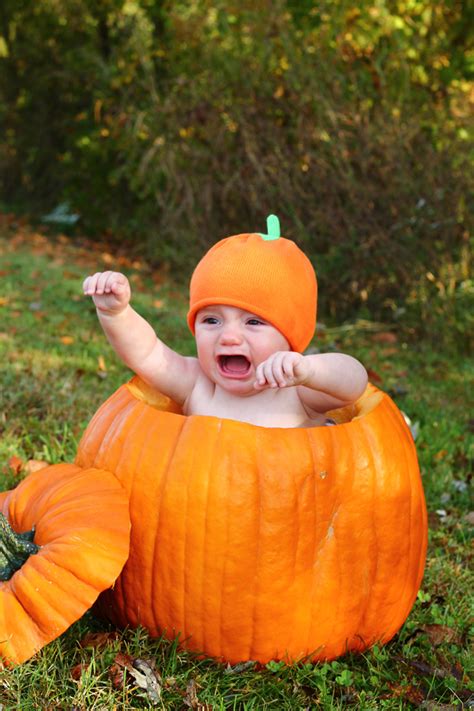 I moved in to this compass house with a small pumpkin vine growing. Tips for Baby Pumpkin Photos - The Mom Creative