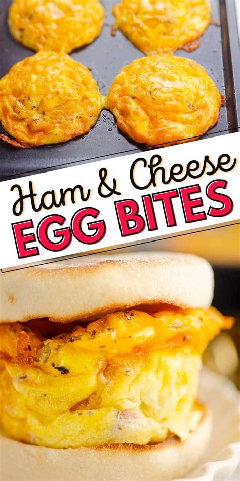Ham And Cheese Egg Bites