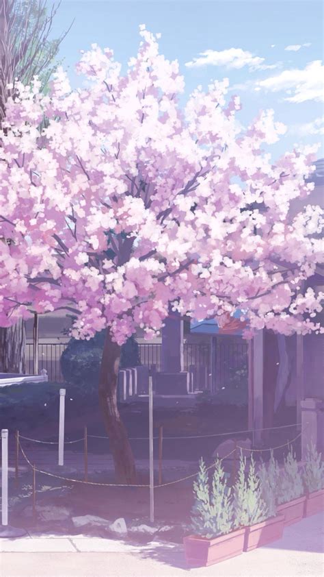 Aesthetic Cherry Blossom Wallpaper Drawing Mural Wallpaper