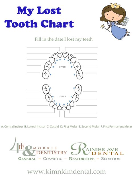 Printable Tooth Chart With Numbers And Letters