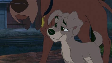 Lady And The Tramp Ii Scamps Adventure 2001