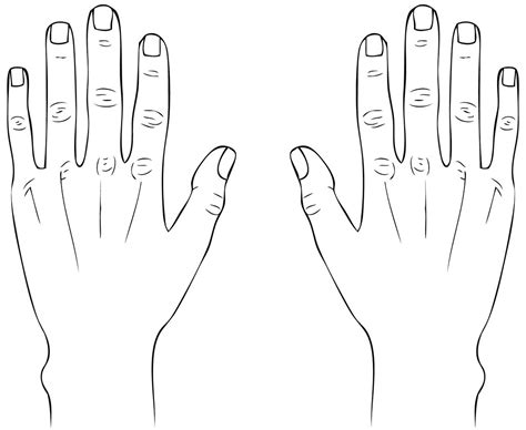 Hands Line Drawing 2 Gabriella Bocchetti Flickr