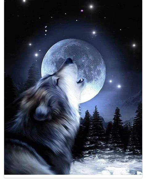 Pin By Beth Nesbitt On Beths Pictures Wolf Painting Wolf Artwork
