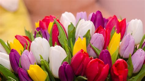 Wallpaper Many Tulips Colorful Flowers Bouquet 3840x2160 Uhd 4k