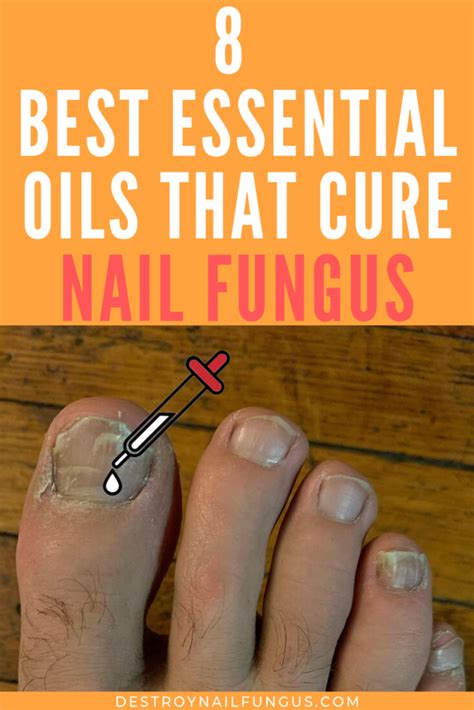 The 8 Best Essential Oils For Toenail Fungus What You Need To Know