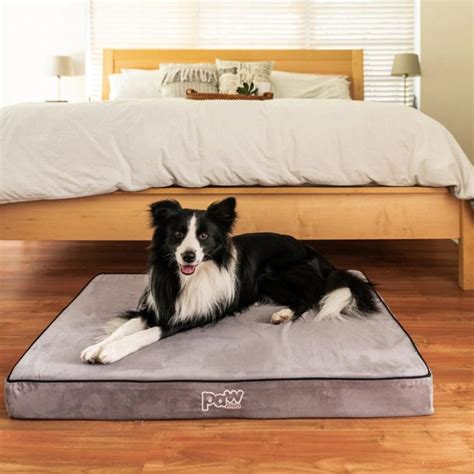 Paw Dog Bed Review Must Read This Before Buying