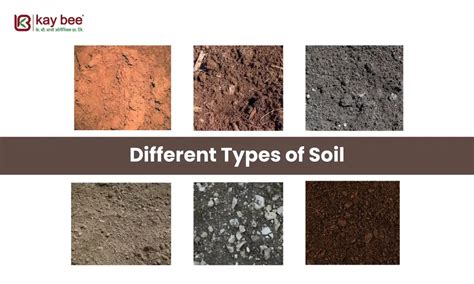 Discovering The Different Types Of Soil