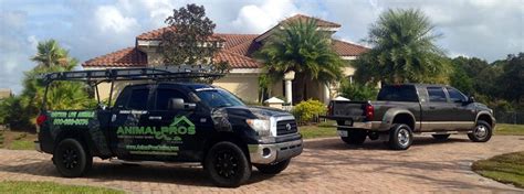 One concern many homeowners have when choosing. Sarasota Wildlife Removal | Animal Removal | Animal Pros