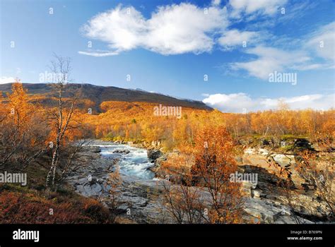 River Njulla Mountain Abisko Canyon Landscape Abisko National Park Norrbotten Lapland Sweden