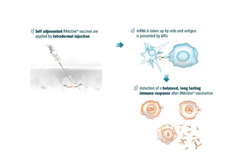 Im internet mehren sich die berichte darüber. Erster Grippe-Impfstoff aus Boten-RNA bewährt sich im ...