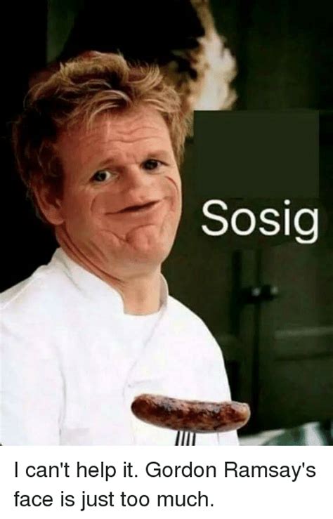 Sosia Sosig I Cant Help It Gordon Ramsays Face Is Just Too Much