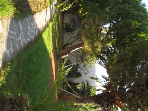 Maybe you would like to learn more about one of these? "Hängematte im Garten" Hotel Naxos Beach I (Naxos Stadt ...