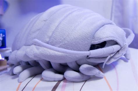 This Giant Crustacean Cuddly Toy Is A Hot Seller In Japan