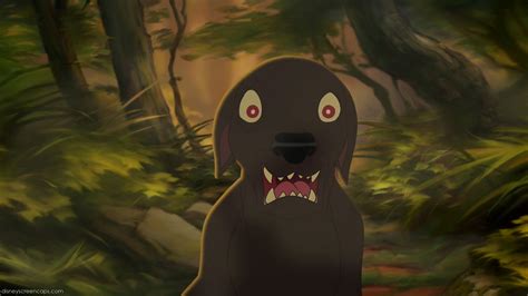 Bambi 3 part 1 2 3 kiara vs dogs. Image - Bambi2-disneyscreencaps.com-6419.jpg | Disney Wiki ...