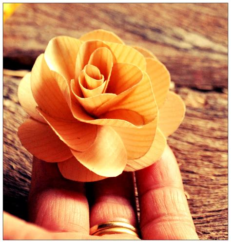 Tutorial On How To Make Wooden Roses Using Birch Wood Shavings Reduce