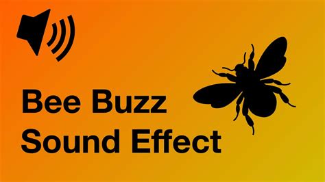 Bee Buzz Sound Effect High Quality 4k Youtube