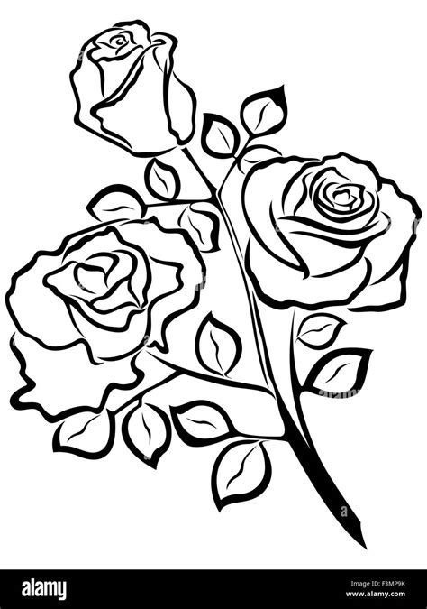 Black Outline Of Rose Flowers Isolated On A White Background Vector