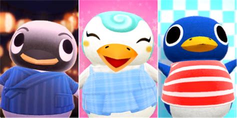 Animal Crossing New Horizons 10 Best Penguin Villagers Ranked