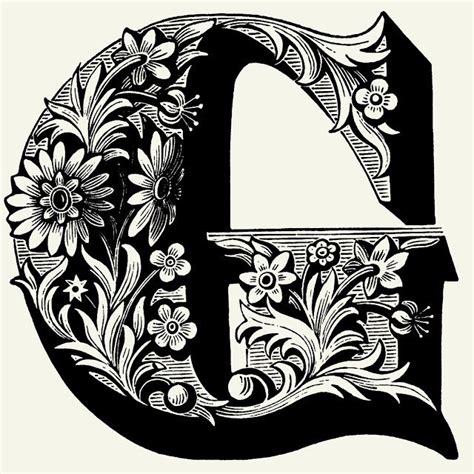 About The Letter G Lettering Design Lettering Alphabet Letter Art