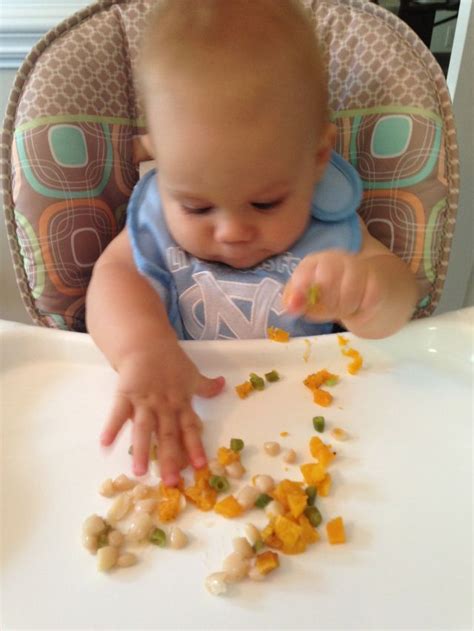 As your child begins to eat more solid foods, you are probably wondering what foods your child should be eating. Baby Food | sevenlayercharlotte | Baby food recipes, Baby ...