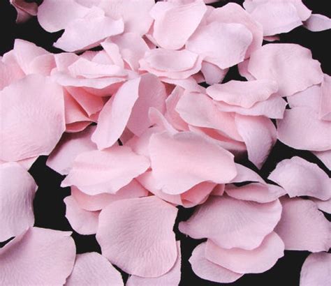 Pink Flower Petals For The Flower Girl 595 Flower Girl Petals Silk